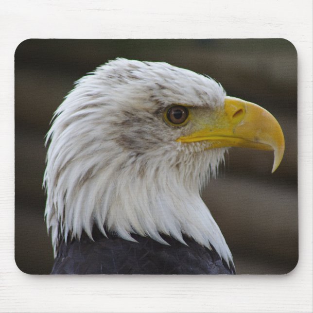 Haliäetus leucocephalus mousepad (Vorne)