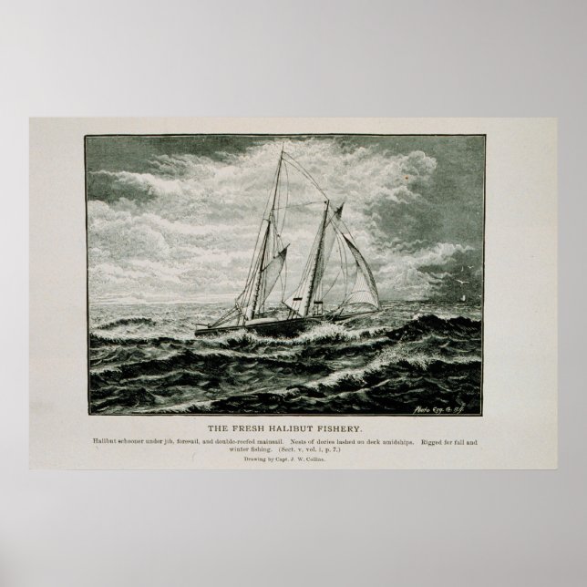 Halibut schooner poster (Vorne)