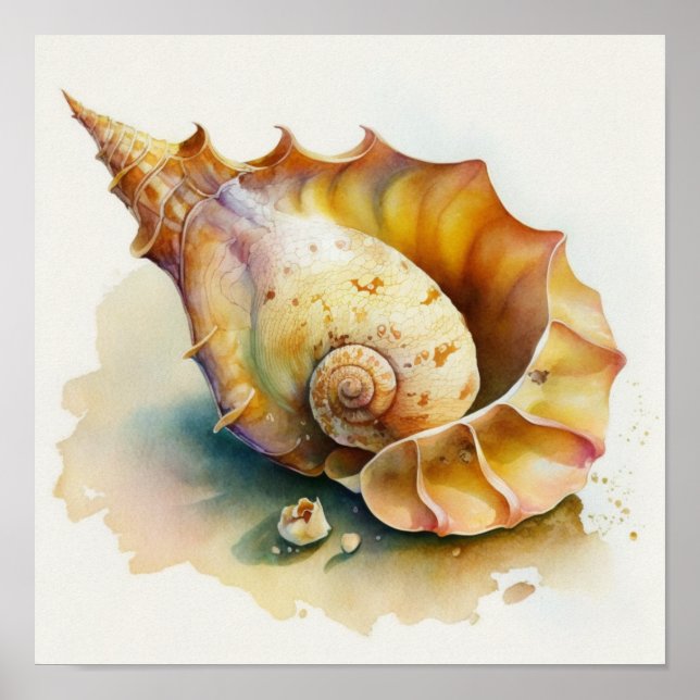Haliotis conch-Muschel in Aquarellplakat Poster (Vorne)