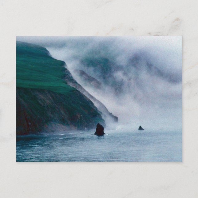 Hall Island, Bering Sea, 1997 Postkarte (Vorderseite)