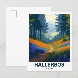 Hallerbos-Wald Halle Brabant Flandern Belgien Postkarte