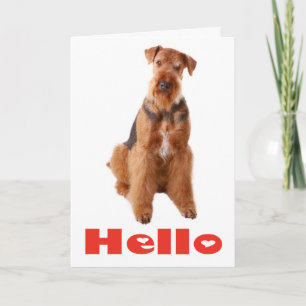 Hallo Airedale Welpen Hund Freundschaftskarte - Ve Karte