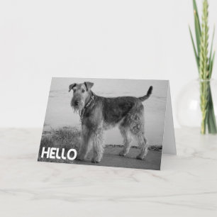 Hallo Airedale Welpen Hund Karte - Vers