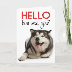 Hallo Alaskan Malamute Welpen-Hunde-Grußkarte Karte