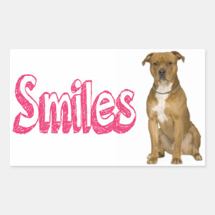 Hallo American Staffordshire Terrier Hund Aufklebe Rechteckiger Aufkleber