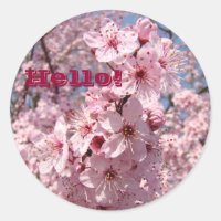 Hallo! Aufkleber Pink Tree Blossom Blume Florals