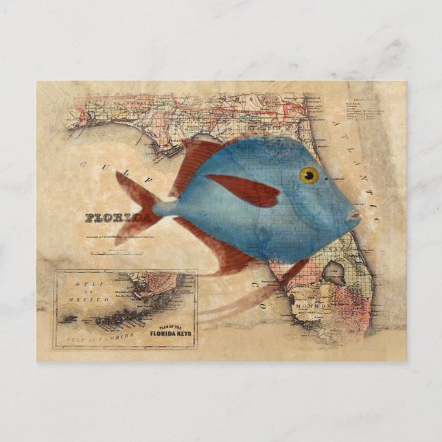 Hallo aus Florida Postkarte (Vorderseite)