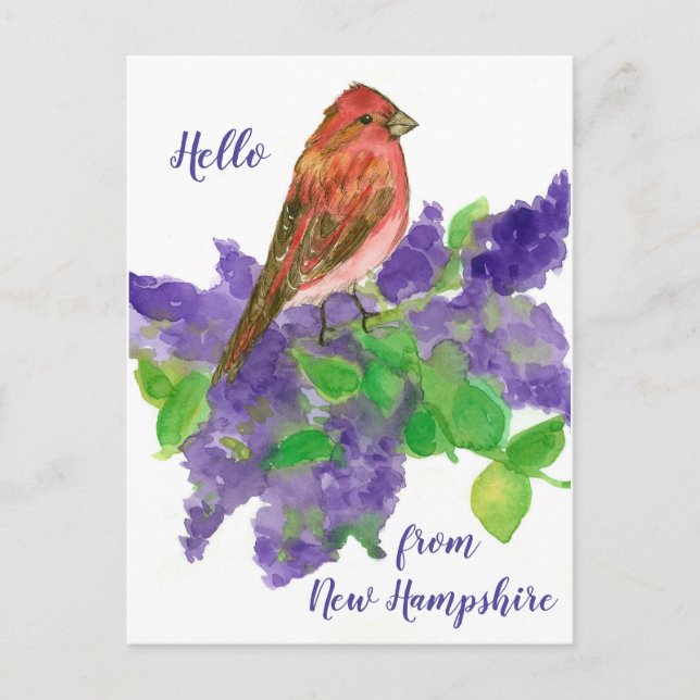 Hallo aus New Hampshire Lila Finch Postkarte (Vorderseite)