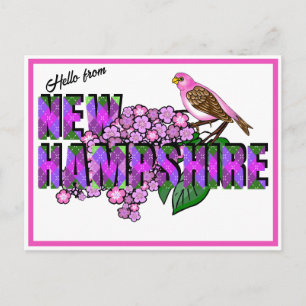 Hallo aus New Hampshire Purpurfink und Flieder Postkarte