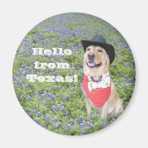 Hallo aus Texas! Magnet