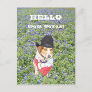 Hallo aus Texas! Postkarte