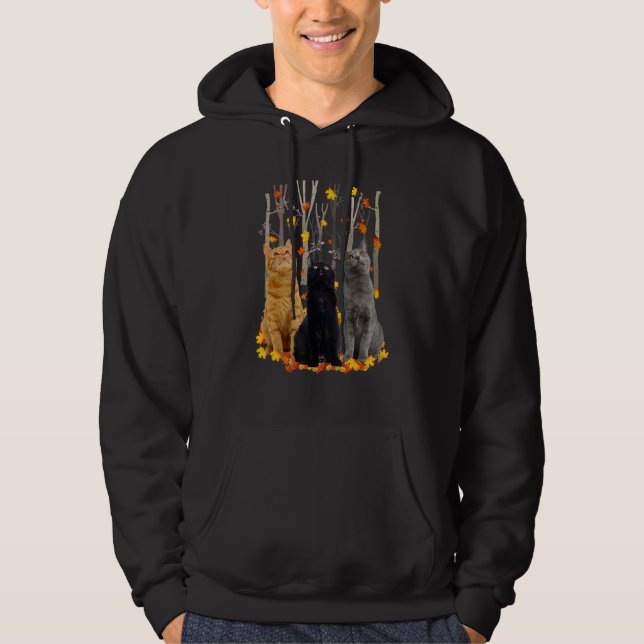 Hallo Autumn Maple Cats Leaf Fall Herz Katze Hoodie (Vorderseite)