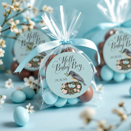 Hallo Baby Boy Floral Bird's Nest Baby Shower Runder Aufkleber
