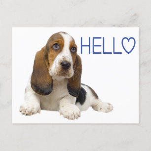 Hallo Basset Hound Welpe Hund Blue Thinking Sie Postkarte