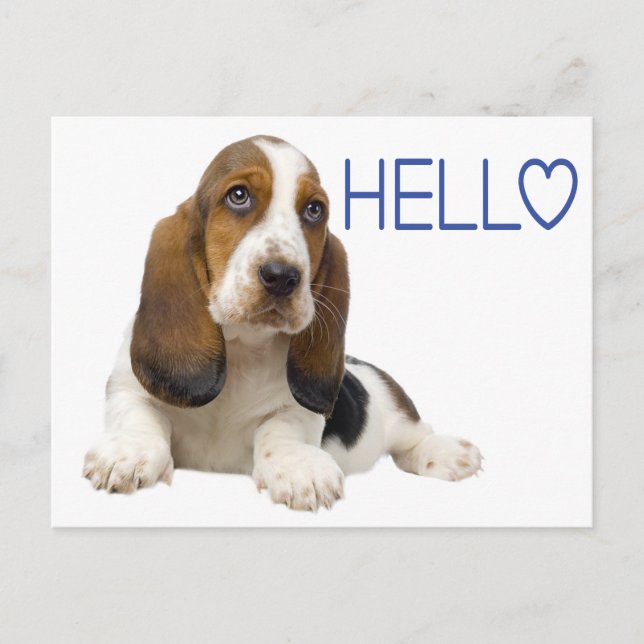 Hallo Basset Hound Welpe Hund Blue Thinking Sie Postkarte (Vorderseite)