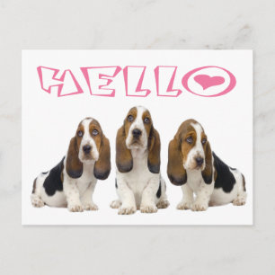 Hallo Basset Hound Welpenhund Rosa Herz Postkarte