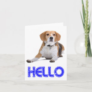 Hallo Beagle Welpen Hund Leere Karte