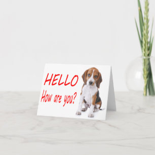 Hallo Beagle Welpen Hund Rot Leere Karte