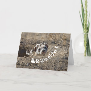 Hallo Beautiful Karte