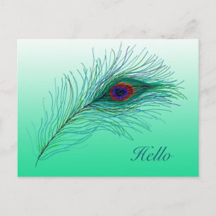 Hallo, Behalt in Touch Peacock Feathers Postkarte