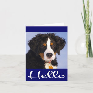 Hallo Berner Sennenhund Welpen Grußkarte Karte