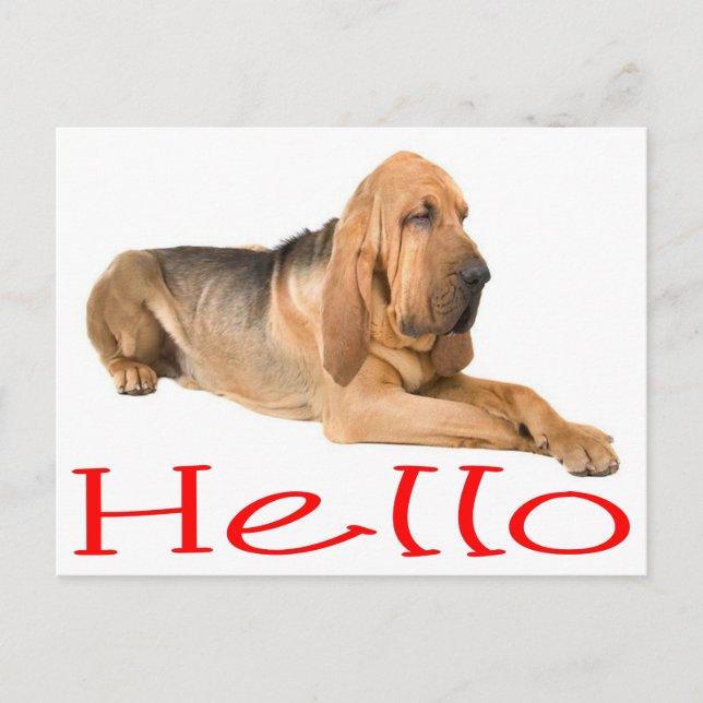 Hallo Bloodhound Welpe Hund Grußkarte Post Card Postkarte (Vorderseite)