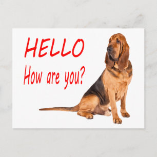 Hallo Bluthund-Welpen-Hund Leer Grußpostkarte Postkarte