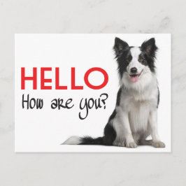 Hallo Border Collie Welpe Doppy Post Card Postkarte