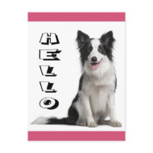 Hallo Border Collie Welpen-Hund Postkarte