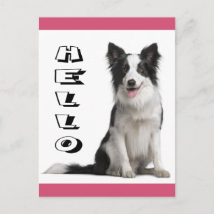 Hallo Border Collie Welpen-Hund Postkarte