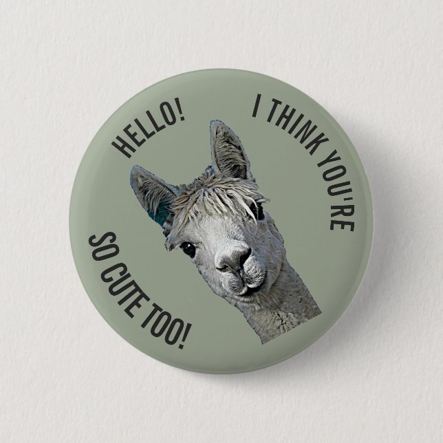 Hallo Button (Vorderseite)