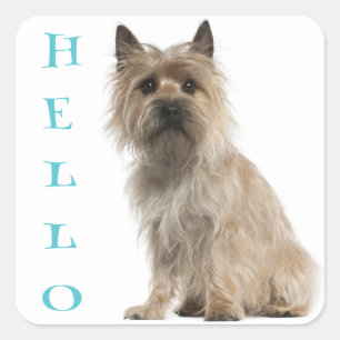Hallo Cairn Terrier Welpen-Hund Grüßaufkleber Quadratischer Aufkleber
