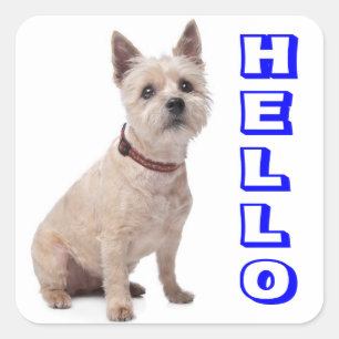 Hallo Cairn Terrier Welpenhund Grüßaufkleber Quadratischer Aufkleber