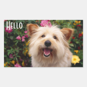 Hallo Cairn Terrier Welpenhund Grüßaufkleber Rechteckiger Aufkleber