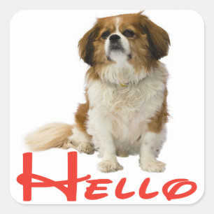 Hallo Cavalier King Charles Spaniel Welpe Quadratischer Aufkleber
