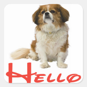 Hallo Cavalier King Charles Spaniel Welpen Aufkleb Quadratischer Aufkleber