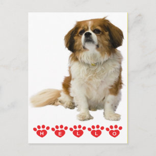 Hallo Cavalier King Charles Welpe Rosa Postkarte