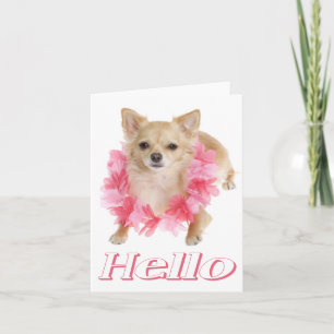 Hallo Chihuahua-Welpen-Hund Blanko-Grußkarte Karte