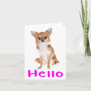 Hallo Chihuahua Welpen Hund Leere Karte