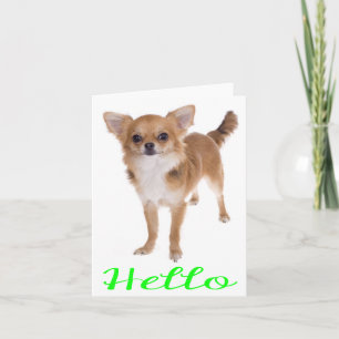 Hallo Chihuahua Welpen Hund Leere Karte