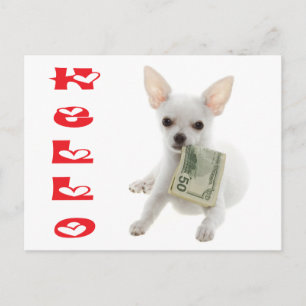 Hallo Chihuahua Welpen Hund Postkarte