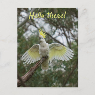 Hallo ! Cockatoo Parrot Bird Open Wings personalis Postkarte