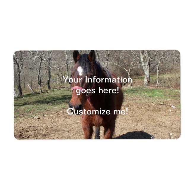 Hallo Da Horsey (Vorne)