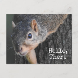 Hallo, da, Niedliches Eichhörnchen-Foto Postkarte