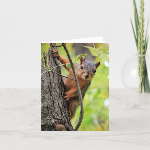 Hallo Da Note Card Feiertagskarte