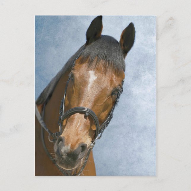 Hallo da postkarte (Vorderseite)