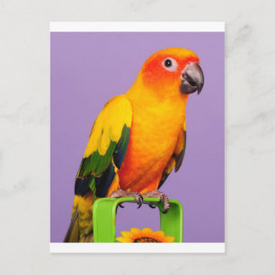 Hallo da postkarte