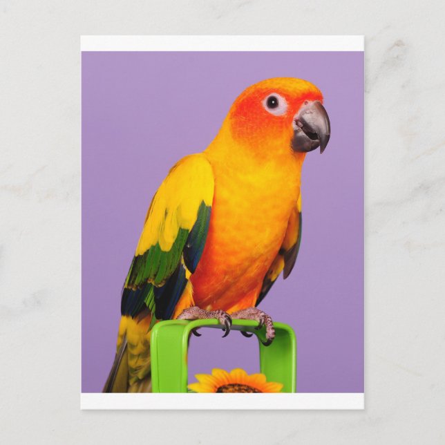 Hallo da postkarte (Vorderseite)