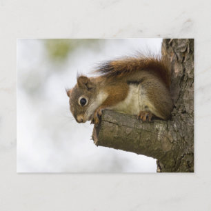 Hallo da unten postkarte