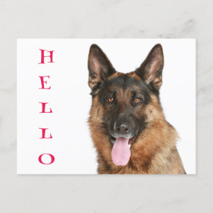 Hallo Deutsche Schäferhund Welpe Dog Blank Post Ca Postkarte